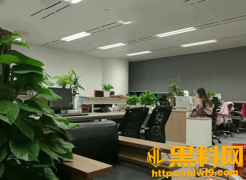 梦想三飞姐妹花34