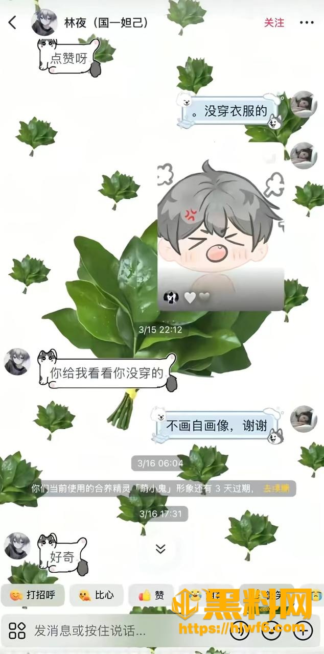 聊天记录3
