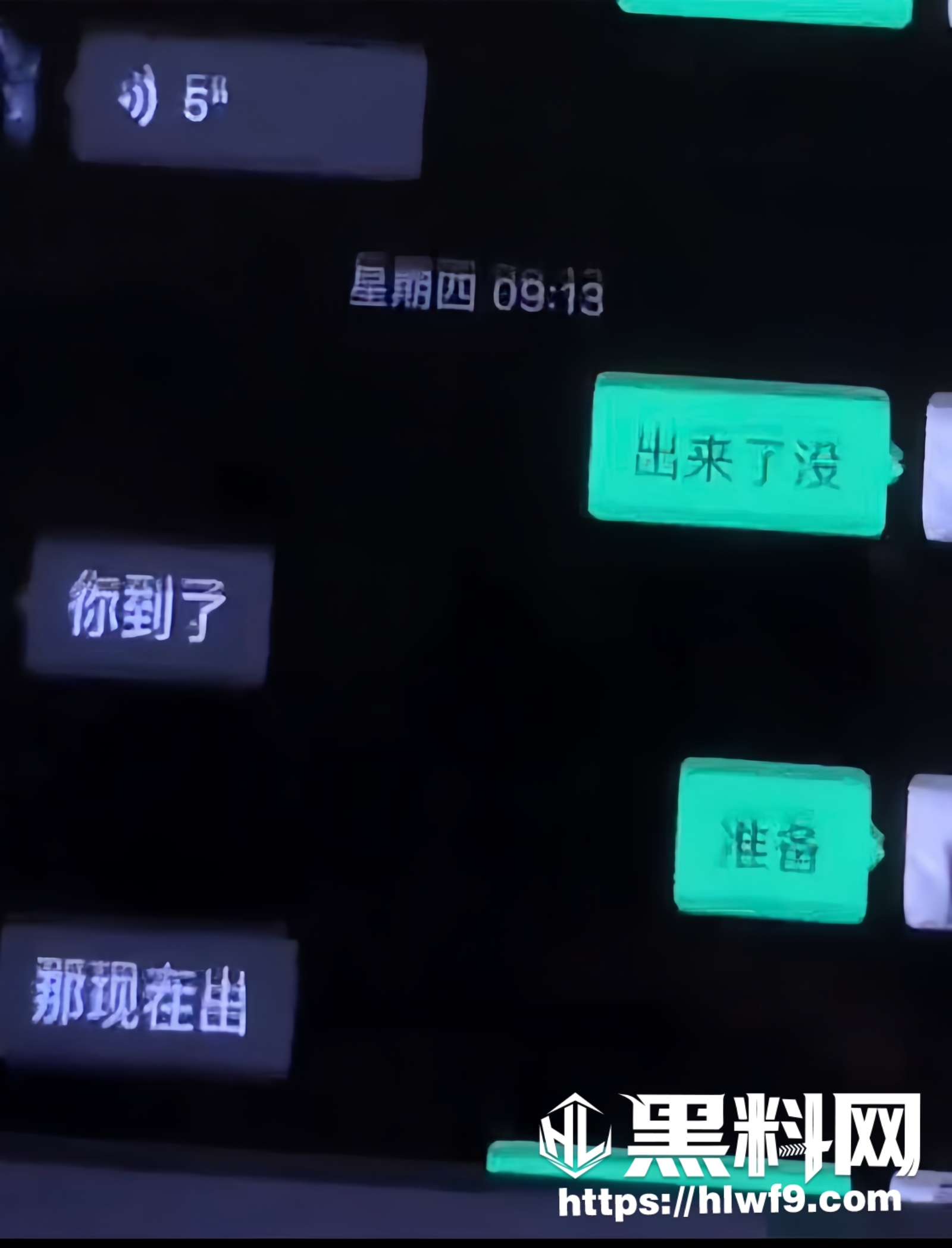 安徽人大代表陈莲芳出轨丑闻 3