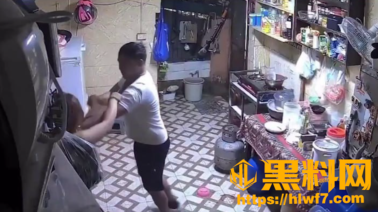 陕西厨房家暴监控6