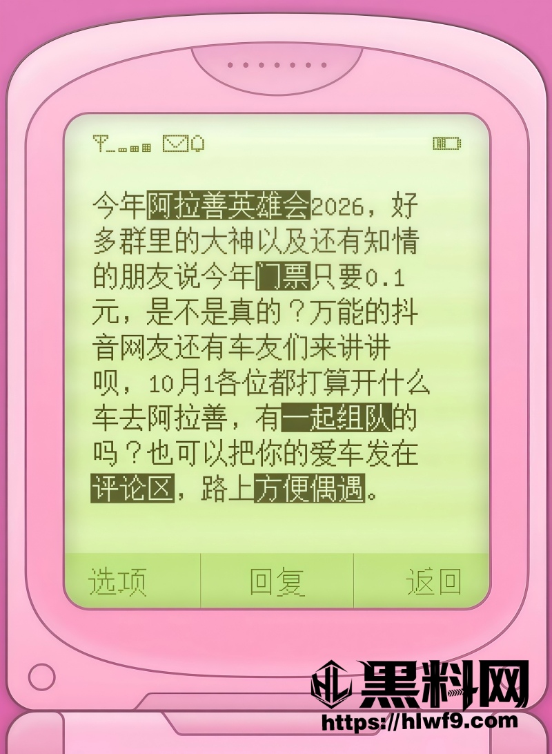 沙漠英雄会卷边现场 3