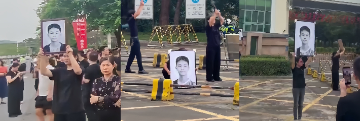 下载 24