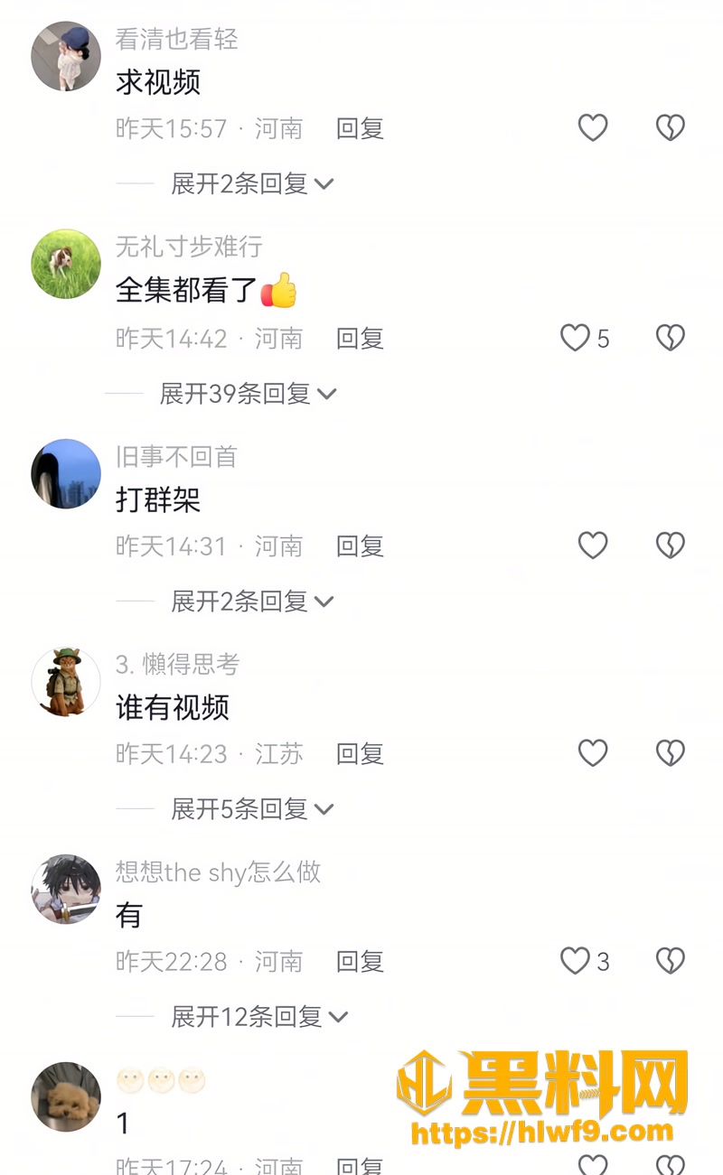 13河南辉县9月12日杀人案3 3wm