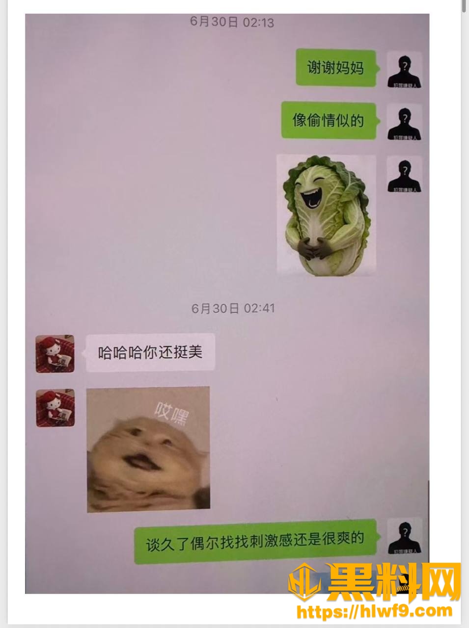 梦之男巫性爱视频29