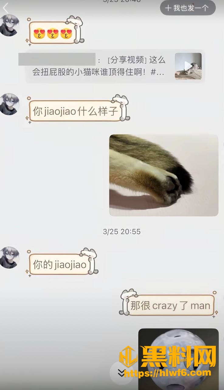 聊天记录5