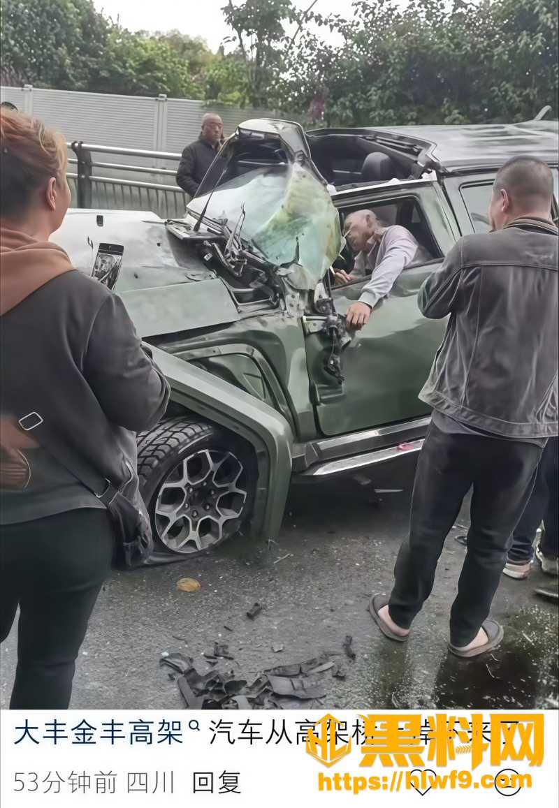 成都金丰高架吃瓜事件