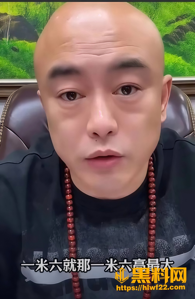 快手主播丁老五 4