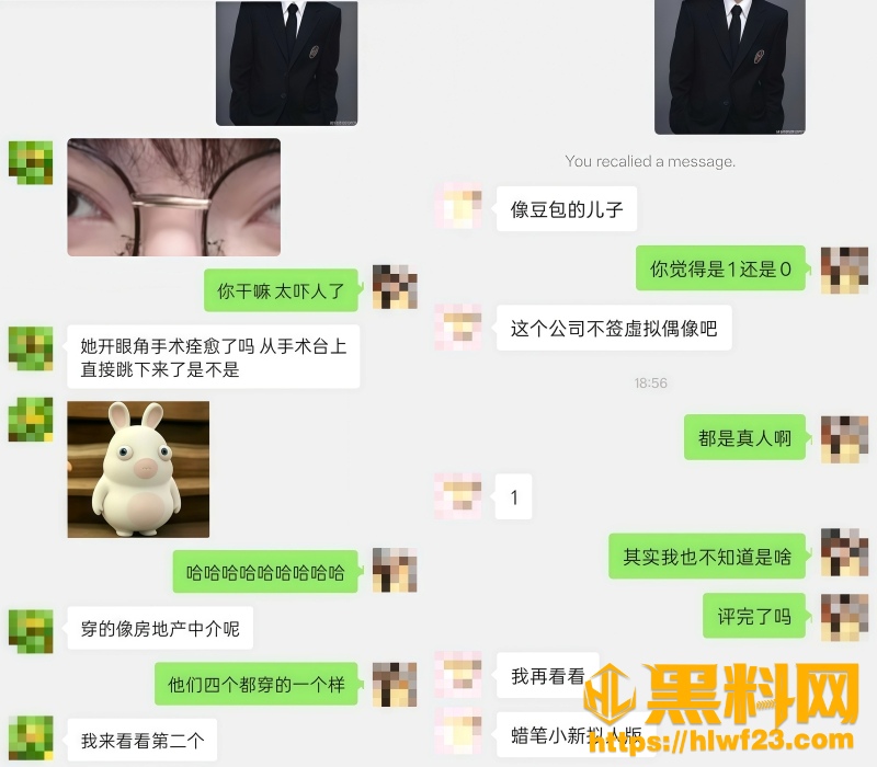 娱乐圈塌房 1